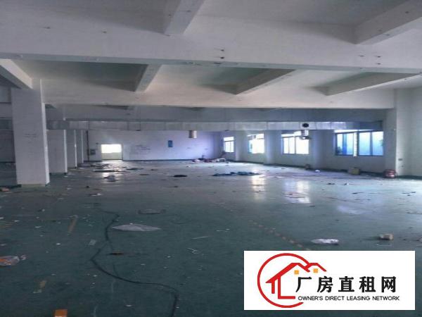 
高速出口周边，独门独院。