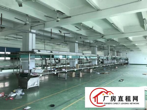 
塘厦近高速边经典3层小独院1800平米