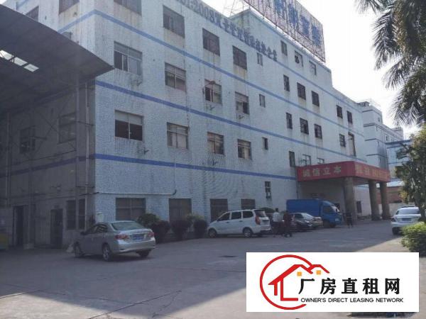 
电子车间！独院2楼550平方现成装修拎包即生产