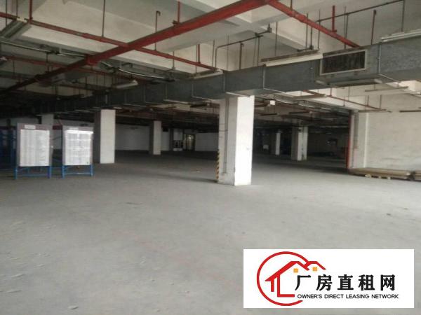 
电子车间！独院2楼550平方现成装修拎包即生产