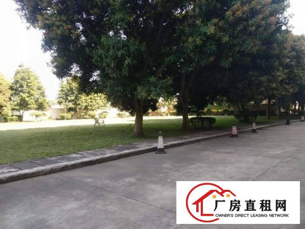 
电子车间！独院2楼550平方现成装修拎包即生产