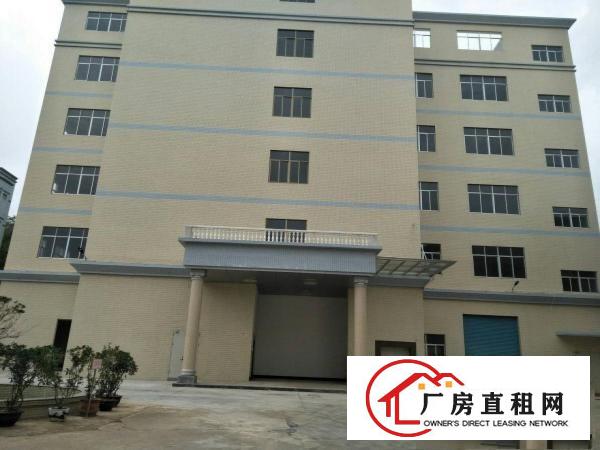 
东莞塘厦田心2000平方一楼出租