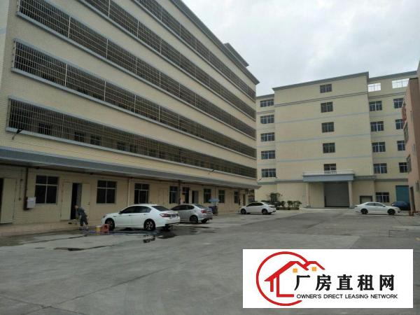 
东莞塘厦田心2000平方一楼出租