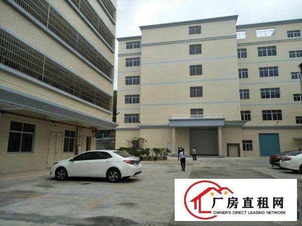 
东莞塘厦田心2000平方一楼出租