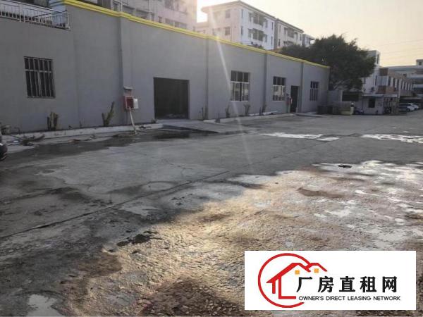 
塘厦原房东家具厂12000平方整体转让