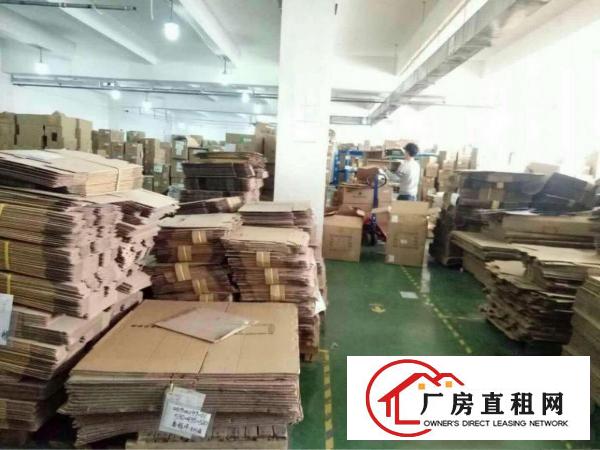 
塘厦科苑城高端大型绿色园区楼上2500精装修