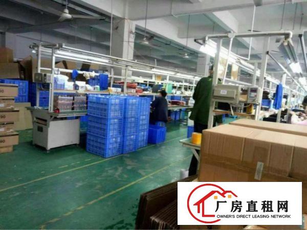 
塘厦科苑城高端大型绿色园区楼上2500精装修