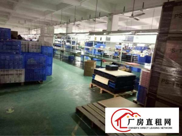 
塘厦科苑城高端大型绿色园区楼上2500精装修