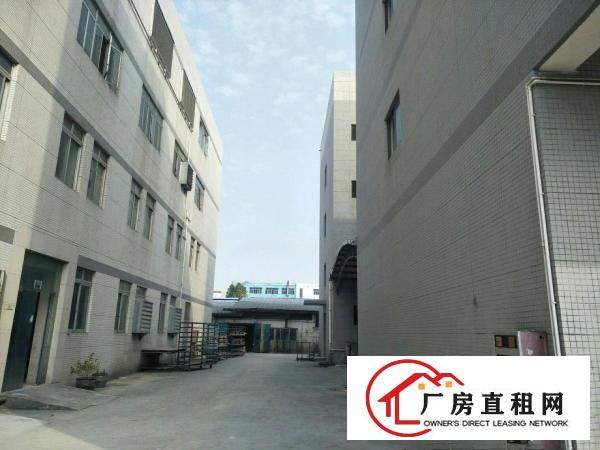 
塘厦18000独院厂房出租可分租