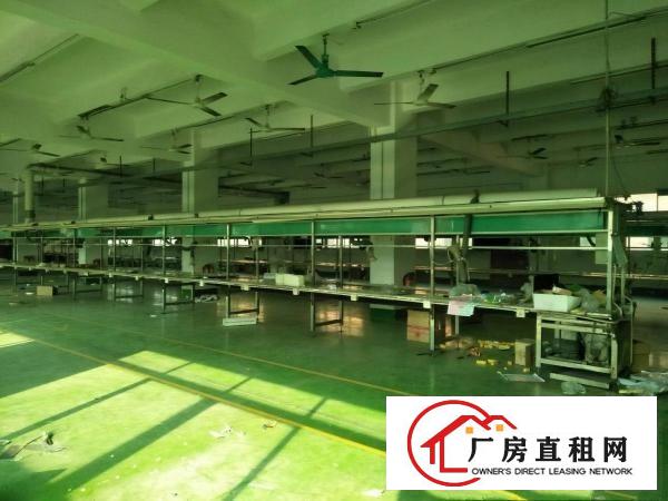 
塘厦沙湖楼上1000平方带装修厂房出租