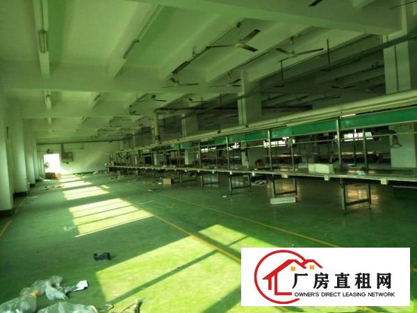 
塘厦沙湖楼上1000平方带装修厂房出租