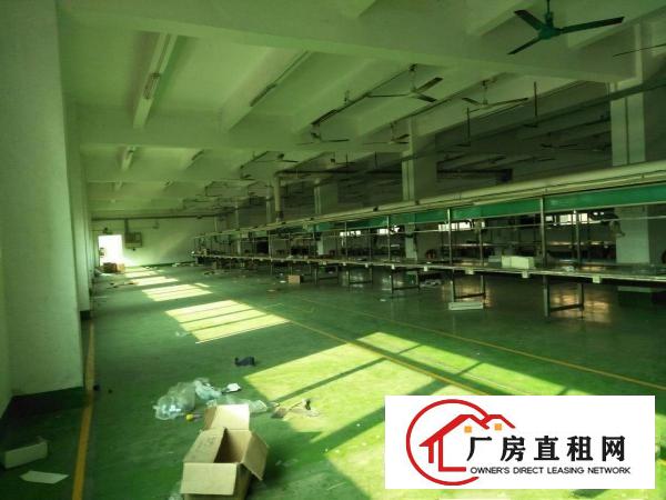 
塘厦沙湖楼上1000平方带装修厂房出租