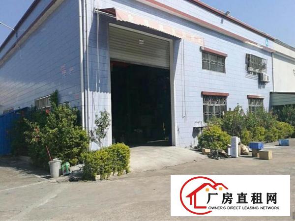 
塘厦高速出口单一层独院13000平方