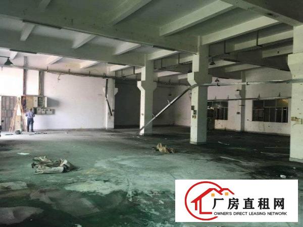 
塘厦石潭布4200平方米带大空地独院厂房招租