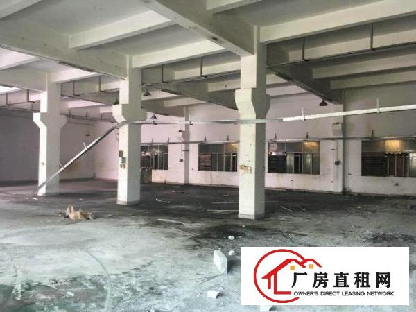 
塘厦石潭布4200平方米带大空地独院厂房招租