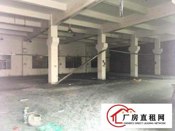 
塘厦石潭布4200平方米带大空地独院厂房招租
