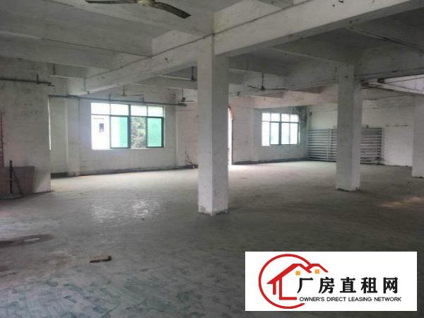 
塘厦128工业区1900平方米工业园2楼厂房招租