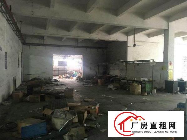
塘厦凤凰岗2000平方米工业园一楼厂房招租