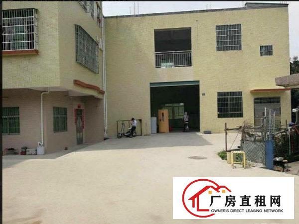 
塘厦新出小独院厂房面积800平适合办公贸易配置齐全