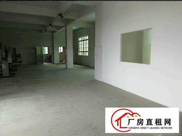 
塘厦新出小独院厂房面积800平适合办公贸易配置齐全