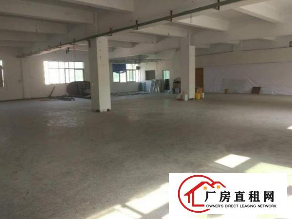 
塘厦振兴围,标准1900可分租,带消防喷淋