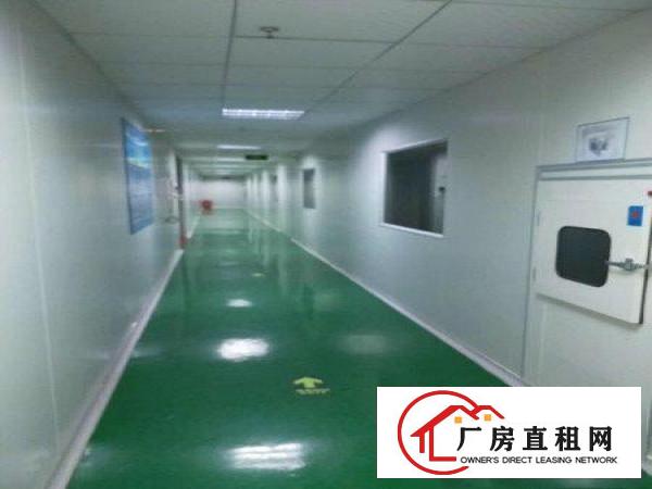 
科苑城工业区标准千级无尘车间大小可分租