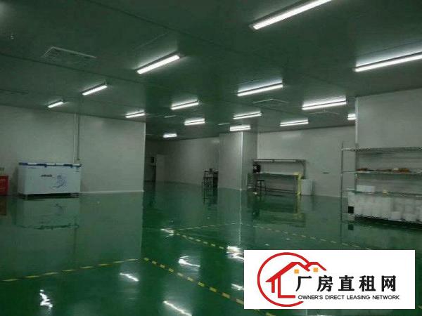 
科苑城工业区标准千级无尘车间大小可分租