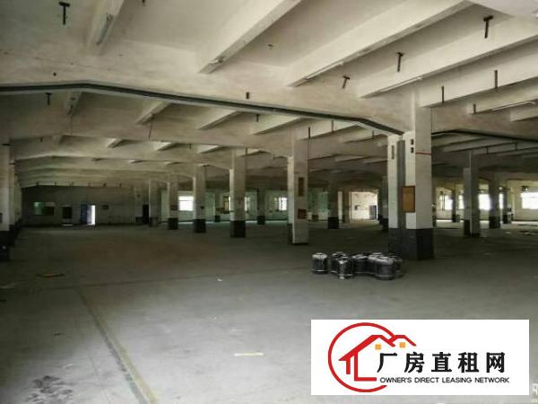 
塘厦大坪厂房1350平出租，大空间带全新电梯