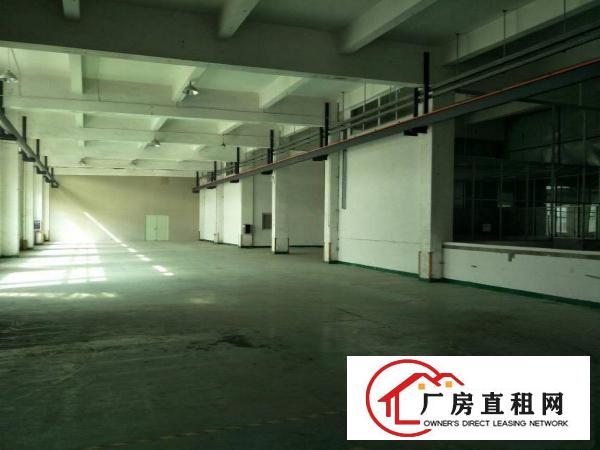 
石鼓工业区一楼500厂房可分租整租