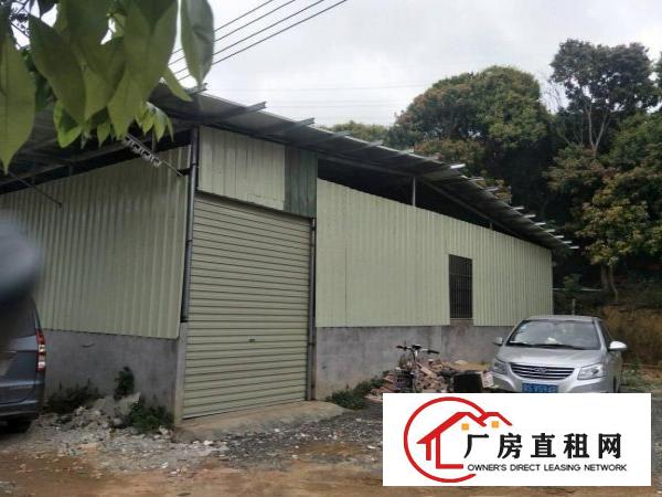 
林村荔枝园内可做污染行业500平米