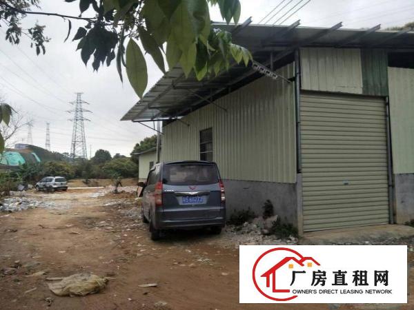 
林村荔枝园内可做污染行业500平米
