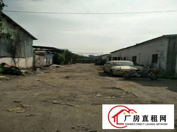 
塘厦单一层2000独门独院实际面积合适做废品收购