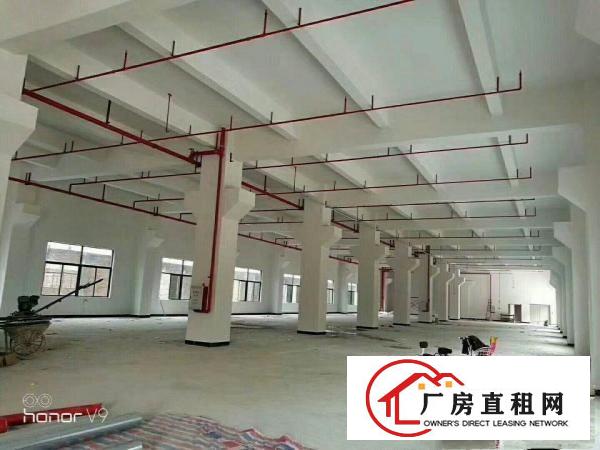 
大坪靠深圳四黎路边独院带消防喷淋出租可分租