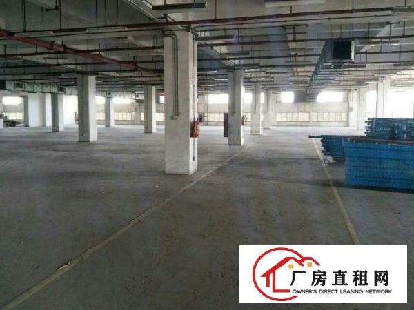 
大坪靠深圳四黎路边独院带消防喷淋出租可分租
