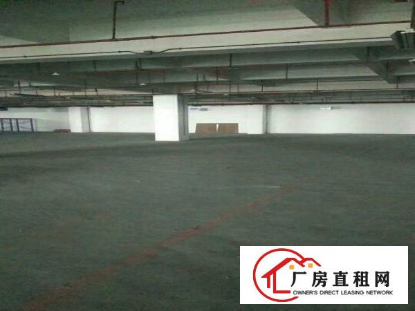 
大坪靠深圳四黎路边独院带消防喷淋出租可分租