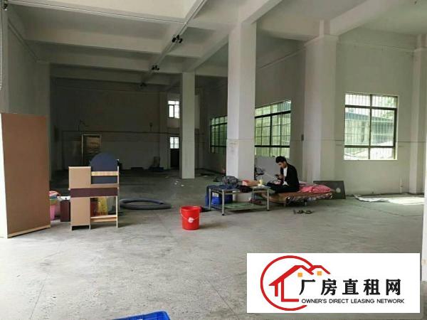 
清湖头经典小独院厂房800平方宿舍100平方