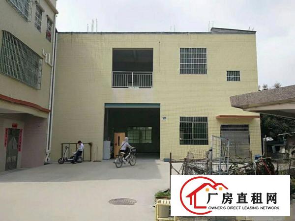 
清湖头经典小独院厂房800平方宿舍100平方