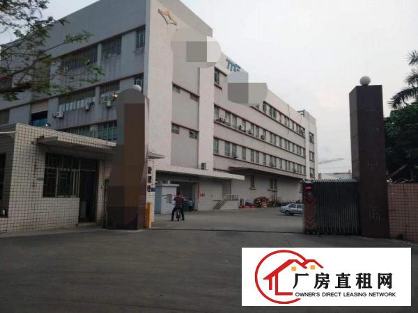 
大坪高速新出原房东厂房招租2860平，14元