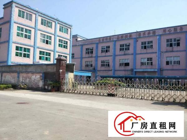 
塘厦莲湖空出小独院厂房1380平方精装修原房东