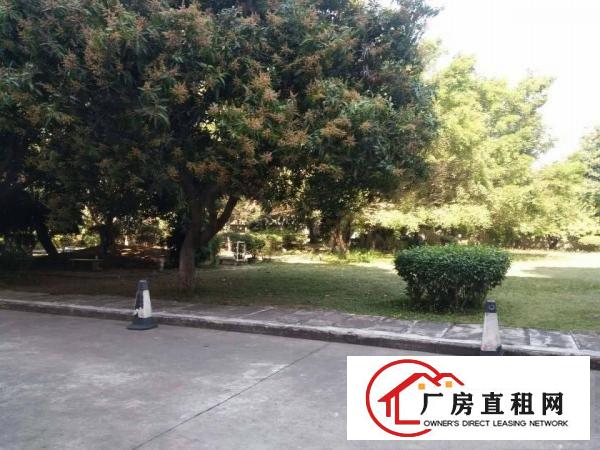 
塘厦莲湖空出小独院厂房1380平方精装修原房东