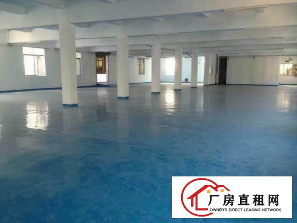 
塘厦莲湖新出独院楼上带装修厂房1200平米，形象好