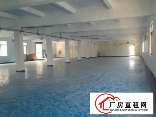 
塘厦莲湖新出独院楼上带装修厂房1200平米，形象好