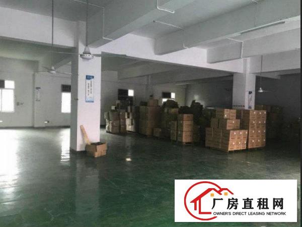 
塘厦原房东独院800平方无公摊小两层！现成装修！