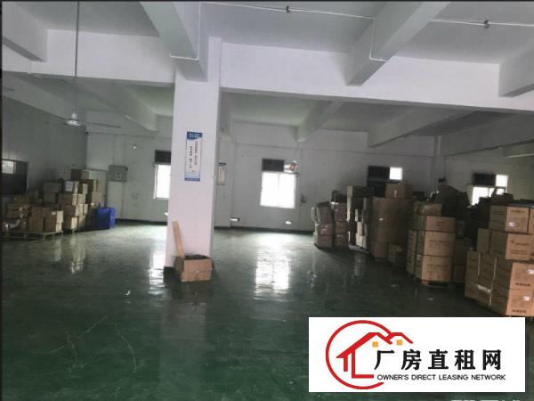 
塘厦原房东独院800平方无公摊小两层！现成装修！