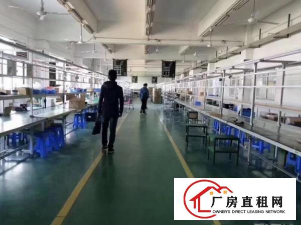 
塘厦高速口花园式独院1600平豪华装修,无需转让费