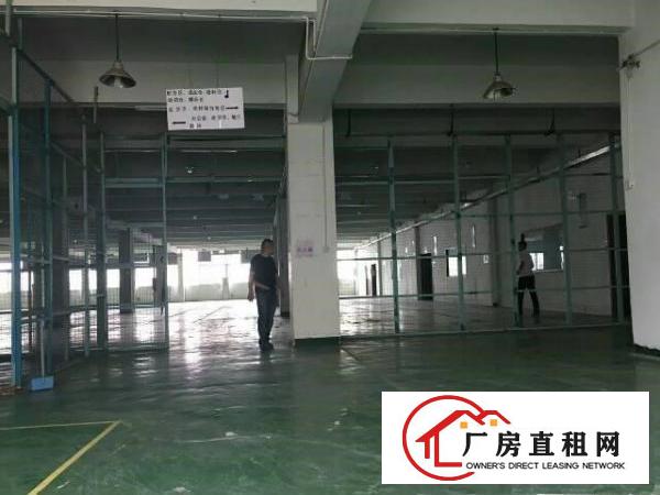 
塘厦新出800平厂房出租，原房东无公摊入驻可生产！