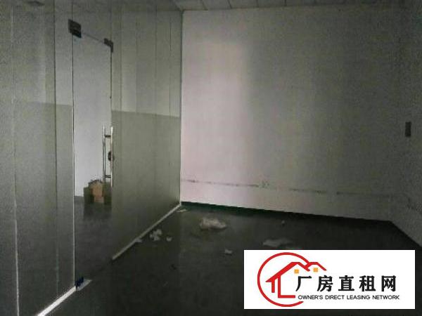
靓价租！塘厦新出楼上原房东460平厂房租，先到先得