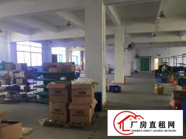 
塘厦新出楼上整层带装修厂房1300平出租，可分租