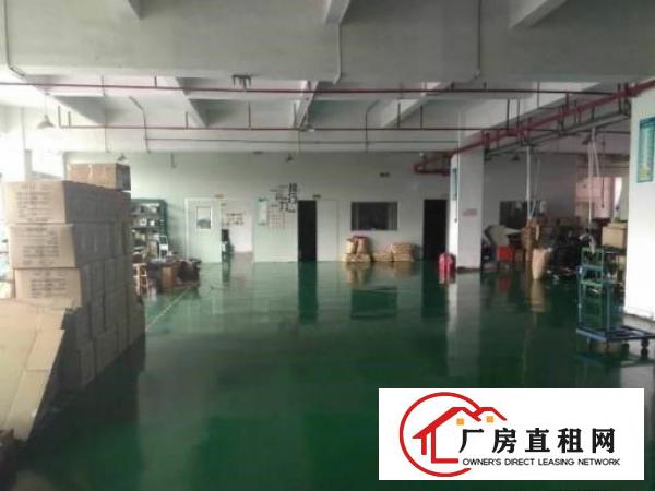 
塘厦独门独院带豪华装修800平厂房出租，原房东零摊
