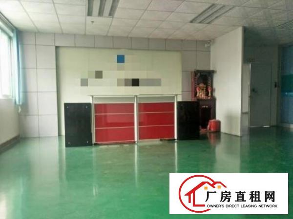 
塘厦独门独院带豪华装修800平厂房出租，原房东零摊